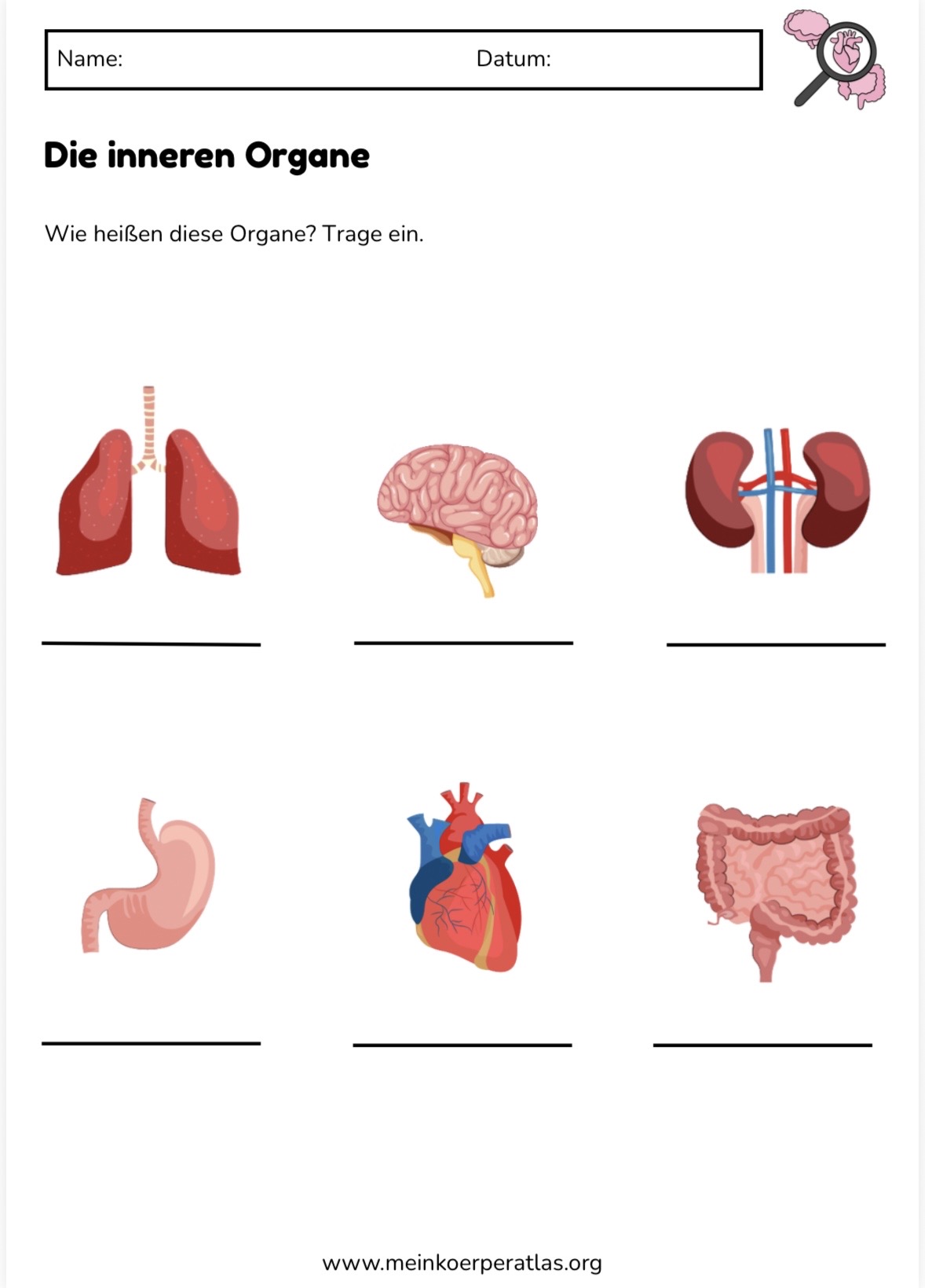 Vorschau Arbeitsblatt 2